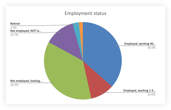 Employment Status chart