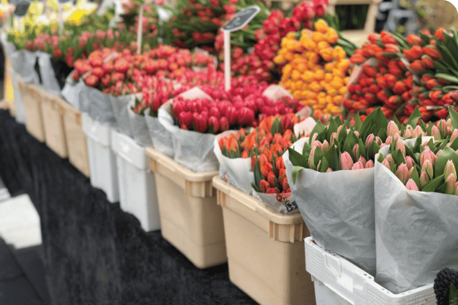 Kaw Valley Greenhouses Grows