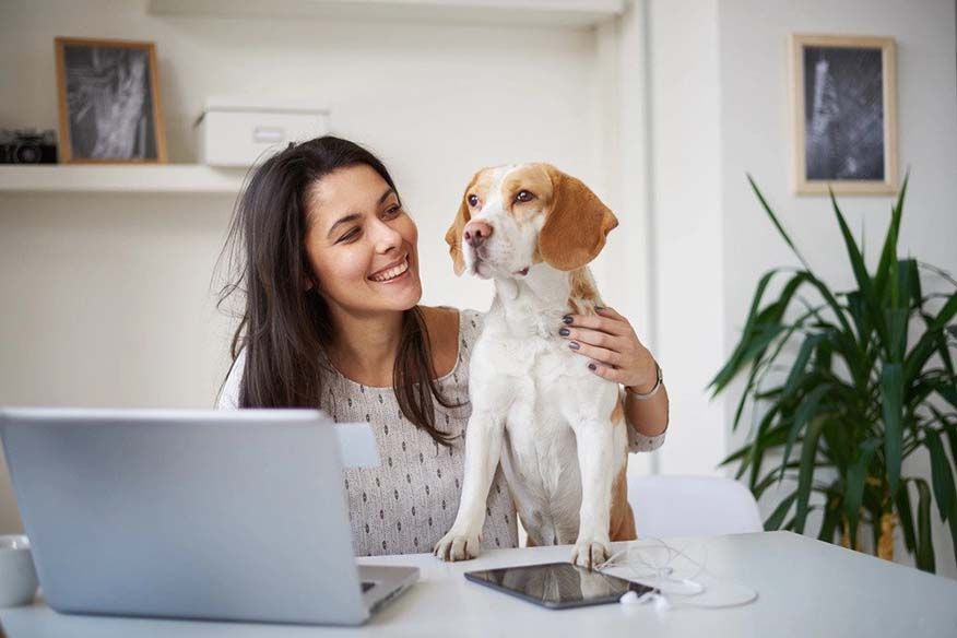 Take Your Pet to Work Week